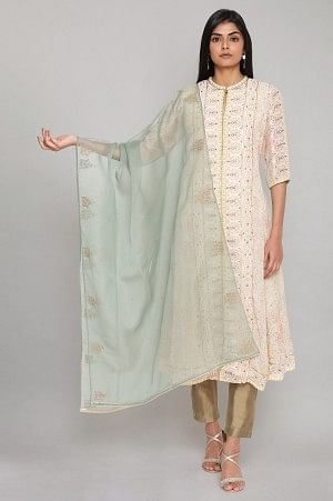 Light Green Organza Dupatta with Embroidery